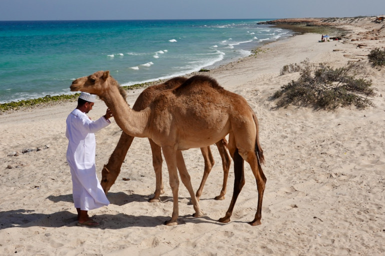 Jedno z krásnych ománských pobreží s piesočnatými plážami. Pri troche šťastia stretnete aj ťahu s miestym obyvateľom.