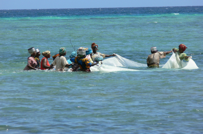 Zanzibarčania sa živia lovením rýb. Každé ráno vyrážajú na oceán.